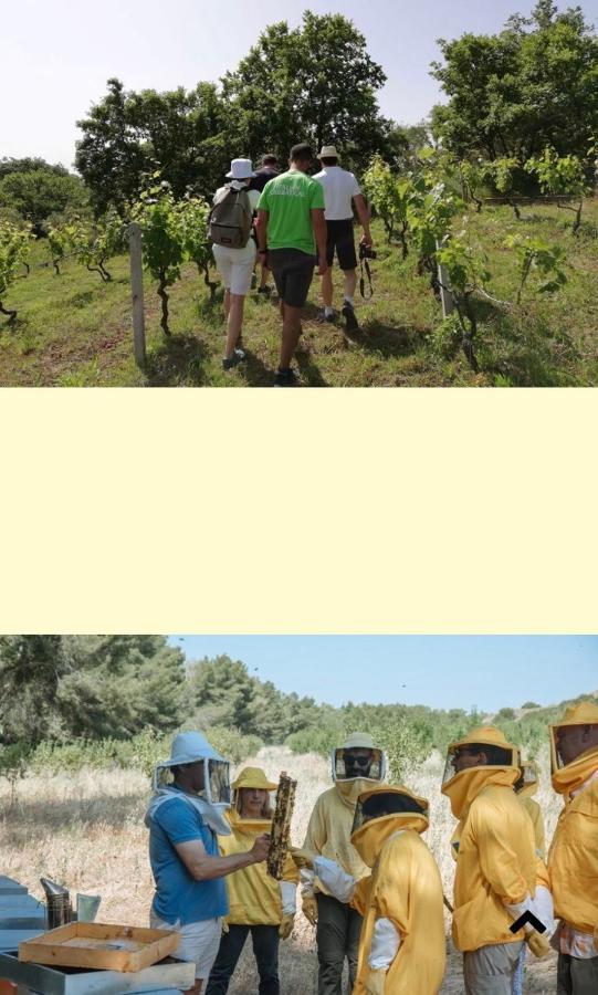 Casa Vacanza Kruptai 2019 Vila Grottole Exterior foto